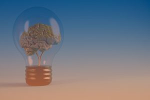 LMP 2342 Intellectual Property Fundamentals: Lightbulb with a brain inside