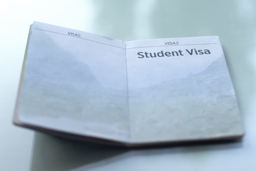 Student visa cover image